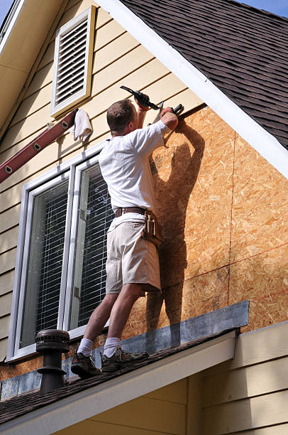 Best Insulated Siding Installation  in Forest City, IA